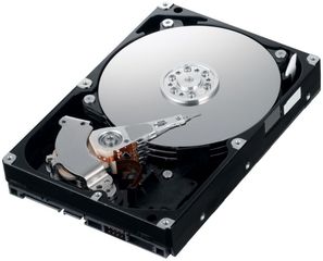 WESTERN DIGITAL USED HDD 250GB, 3.5 , SATA