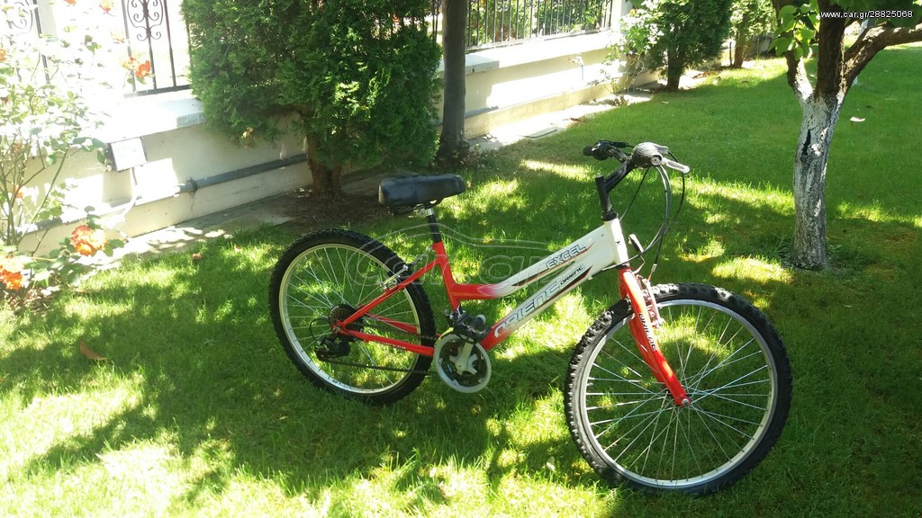 All - Mountain Orient 2018 EXCEL 24'' LADY