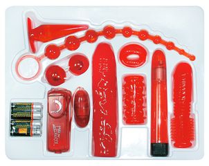 You2Toys Red Roses Set 17.5cm Red