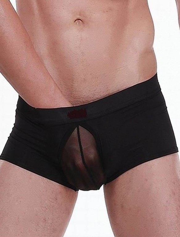 Black boxer with transparency
