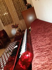 GOLDEN CUP 80 BASSES!!  -thumb-6
