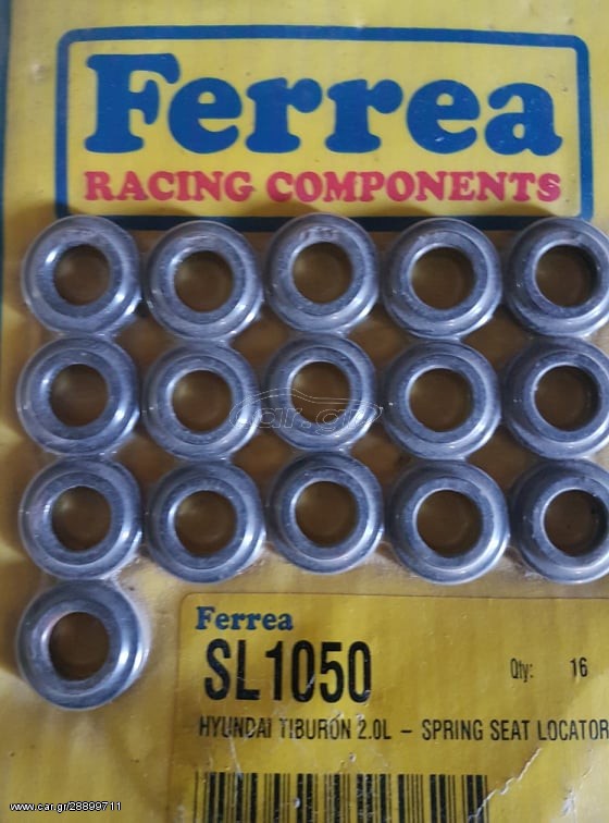 Retainer Ferrea 