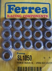 Retainer Ferrea 
