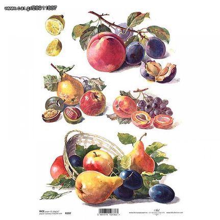 Ριζόχαρτο "fruits" 21x29εκ.   (ITD-R397)