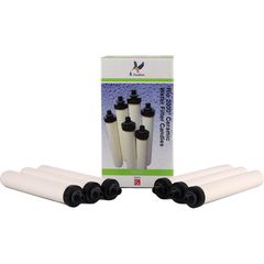 Ανταλλακτικά Doulton RIO 2000 Sterasyl 6 τμχ