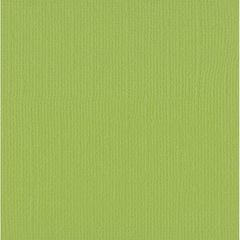 Xαρτόνι scrapbooking 30cmx30cm 216gr pistachio