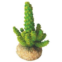 Διακοσμητικό Terrarium Κάκτος 11cm