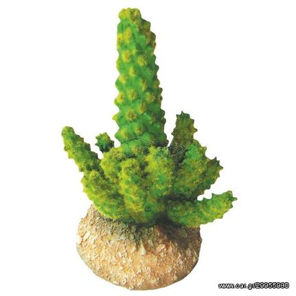 Διακοσμητικό Terrarium Κάκτος 11cm