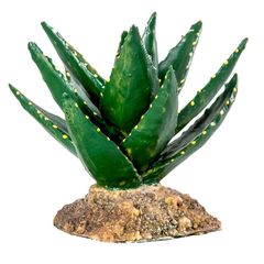 Διακοσμητικό Terrarium Κάκτος 12cm