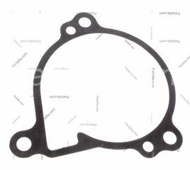 Φλάντζα αντλία νερού KLR / KL 250