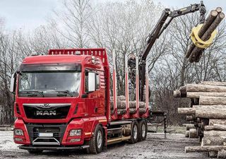 TOPLINE ΚΕΦΑΛΕΣ MAN *TOP*-thumb-4