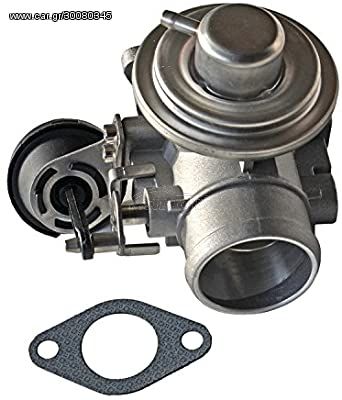 EGR (VW-SEAT-SKODA-AUDI)