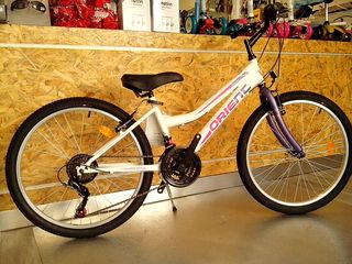 All - Mountain Orient 2025 EXCEL 24''-thumb-10