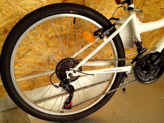 All - Mountain Orient 2025 EXCEL 24''-thumb-11