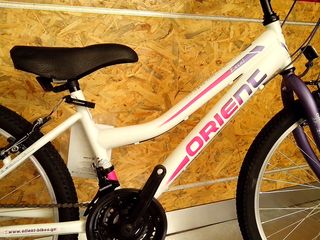 All - Mountain Orient 2025 EXCEL 24''-thumb-12
