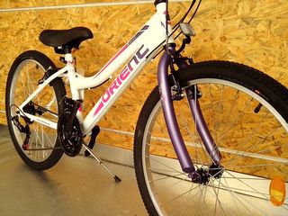 All - Mountain Orient 2025 EXCEL 24''-thumb-13
