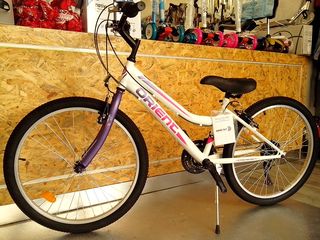 All - Mountain Orient 2025 EXCEL 24''-thumb-14