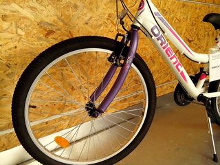 All - Mountain Orient 2025 EXCEL 24''-thumb-15