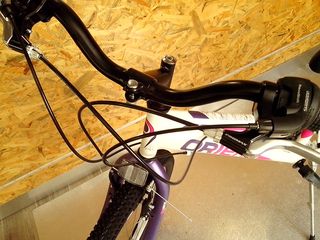 All - Mountain Orient 2025 EXCEL 24''-thumb-16