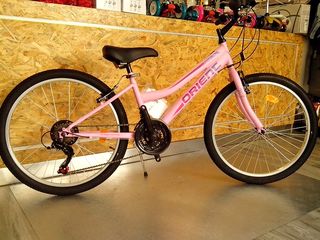 All - Mountain Orient 2025 EXCEL 24''-thumb-3