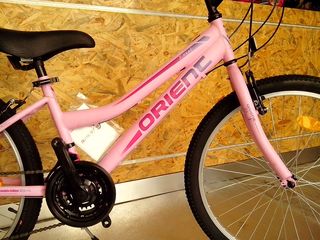 All - Mountain Orient 2025 EXCEL 24''-thumb-5