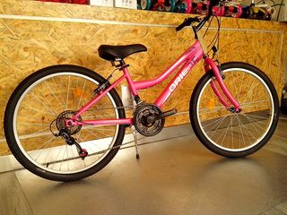 All - Mountain Orient 2025 EXCEL 24''-thumb-18