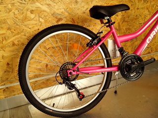 All - Mountain Orient 2025 EXCEL 24''-thumb-19