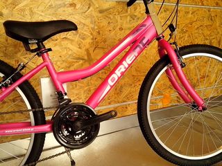 All - Mountain Orient 2025 EXCEL 24''-thumb-20