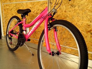 All - Mountain Orient 2025 EXCEL 24''-thumb-21