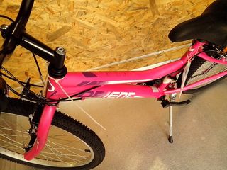All - Mountain Orient 2025 EXCEL 24''-thumb-24
