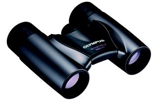 Olympus 10X21 RC II DARK SILVER Binoculars 9.06.01.01.036 N3852192