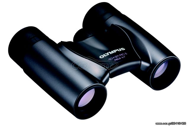 Olympus 10X21 RC II DARK SILVER Binoculars 9.06.01.01.036 N3852192