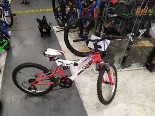 Car Gr Bicycles Bachini