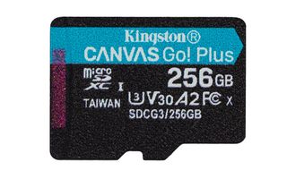 Kingston Technology Canvas Go! Plus memory card 256 GB MicroSD UHS-I Class 10