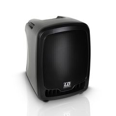 LD Systems LDRB65SP Roadboy 65 Passive Slave Speaker 30W RMS - LD SYSTEMS