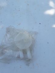 Δοχείο νερού SUZUKI VITARA -thumb-2