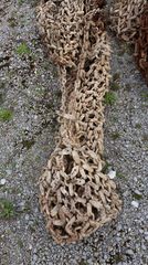 Builder 1995 23.5-25-thumb-3