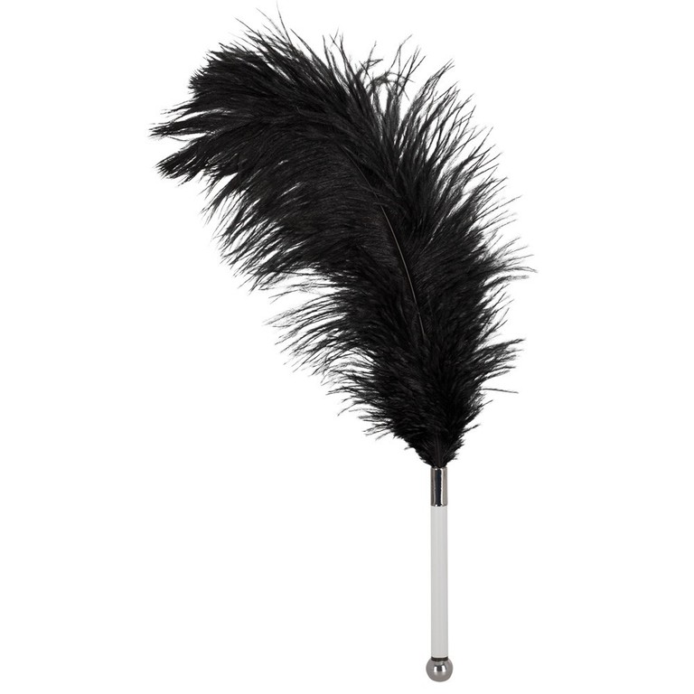 Bad Kitty Black Feather Teaser