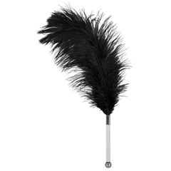 Bad Kitty Black Feather Teaser