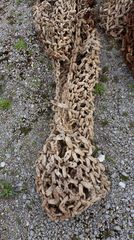 Ερπύστριες 1990 Erlau 23.5- 25 29.5-29