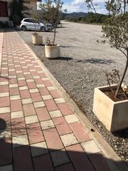 Γλάστρες τσιμεντένιες διάφορες παρτίδα-thumb-14