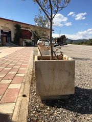 Γλάστρες τσιμεντένιες διάφορες παρτίδα-thumb-20