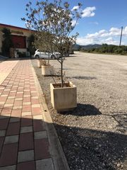 Γλάστρες τσιμεντένιες διάφορες παρτίδα-thumb-26