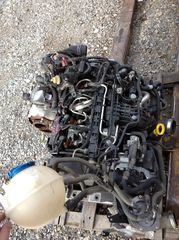 VW CAY Diesel -thumb-1