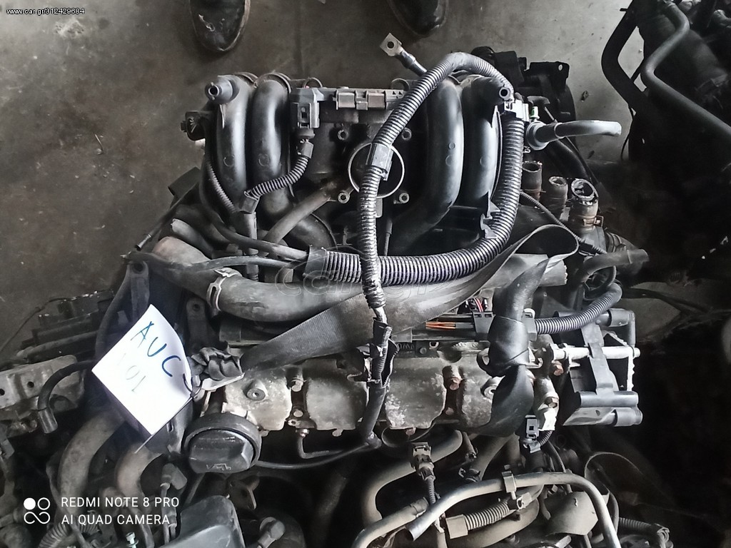 ΒΕΝΖΙΝΟΚΙΝΗΤΗΡΑΣ 1.0 50HP POLO-LUPO (AUC)