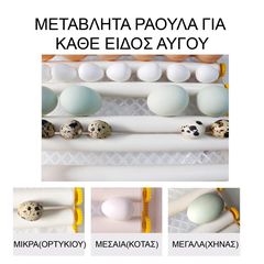 XWA16 ΚΛΩΣΣΟΜΗΧΑΝΗ ΚΥΚΝΟΣ 16 ΑΥΓΩΝ ΝΕΑ ΕΚΔΟΣΗ(ΠΡΑΣΙΝΟ) , ΠΛΗΡΩΣ ΑΥΤΟΜΑΤΗ ΜΕ 2 ΒΑΣΕΙΣ ΑΥΤΟΜΑΤΕΣ ΤΡΟΦΟΔΟΣΙΑΣ ΝΕΡΟΥ-thumb-5