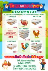 XWK176 ΚΛΩΣΣΟΜΗΧΑΝΗ ΚΥΚΝΟΣ 176 ΑΥΓΩΝ (ΛΕΥΚΟ) , ΠΛΗΡΩΣ ΑΥΤΟΜΑΤΗ ΜΕ ΣΥΣΤΗΜΑ ΑΤΜΟΠΟΙΗΣΗΣ ΚΑΙ 3 ΑΥΤΟΜΑΤΕΣ ΒΑΣΕΙΣ ΤΡΟΦΟΔΟΣΙΑΣ ΝΕΡΟΥ-thumb-3