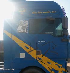 ΚΑΜΠΙΝΕΣ MAN F90-F2000-TGA-TGX-thumb-9