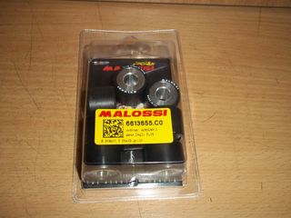 ΜΠΙΛΙΕΣ ΣΕΤ RACING MALOSSI GILERA GP 800 17GR.