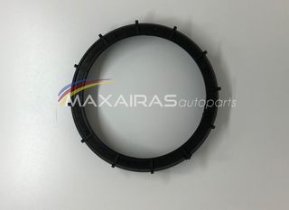 Παξιμάδι αντλίας βενζίνης Citroen Xantia-Xsara-Berlingo 13CM | MAXAIRASautoparts